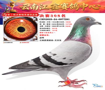 »Ȱ���ξ���308��