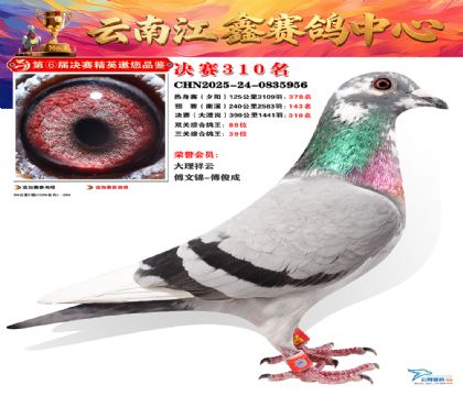 »Ȱ���ξ���310��