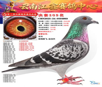 »Ȱ���ξ���309��