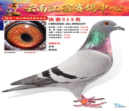 »Ȱ���ξ���313��