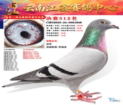 »Ȱ���ξ���312��