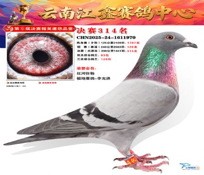 »Ȱ���ξ���314��