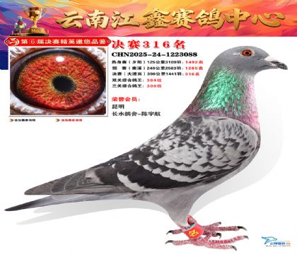 »Ȱ���ξ���316��