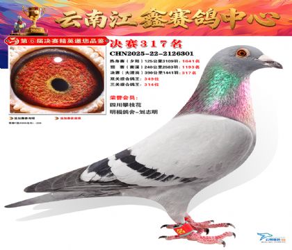 »Ȱ���ξ���317��