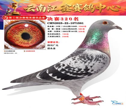 »Ȱ���ξ���320��