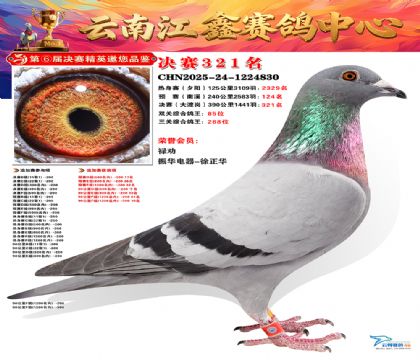 »Ȱ���ξ���321��