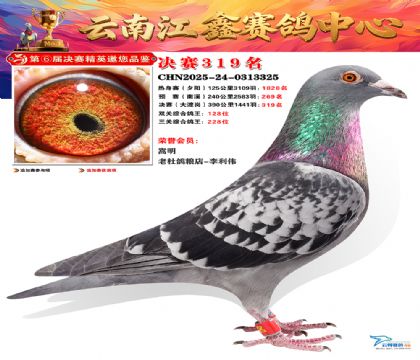 »Ȱ���ξ���319��