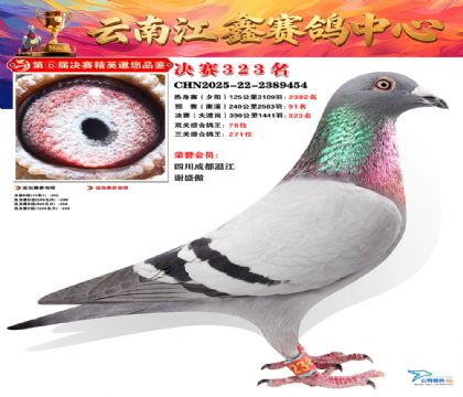 »Ȱ���ξ���323��