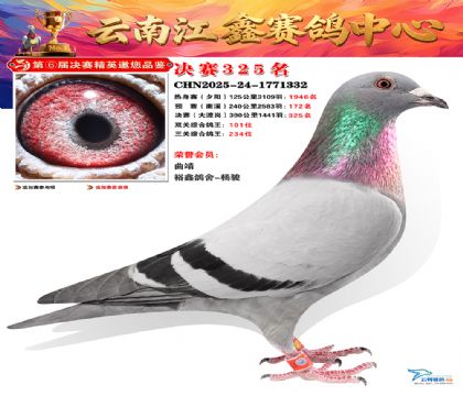 »Ȱ���ξ���325��