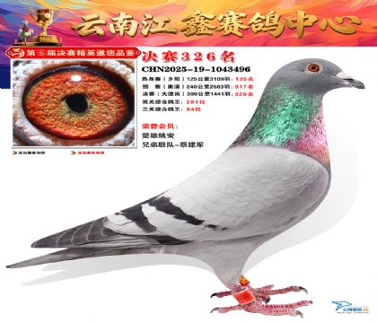 »Ȱ���ξ���326��