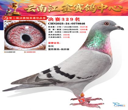 »Ȱ���ξ���329��