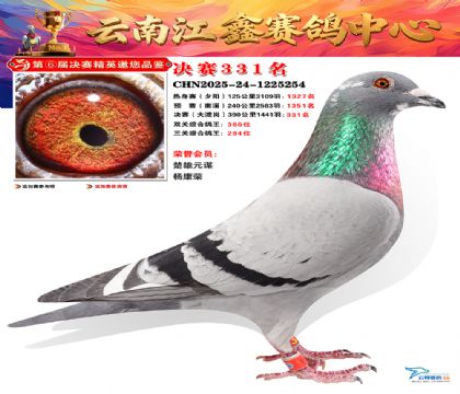 »Ȱ���ξ���331��