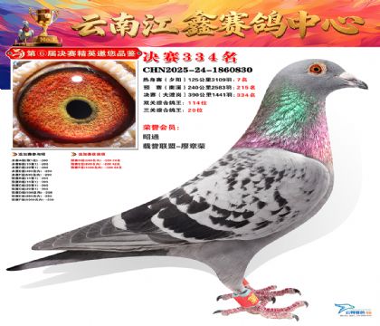 »Ȱ���ξ���334��