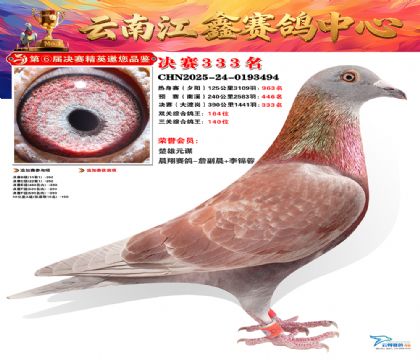 »Ȱ���ξ���333��