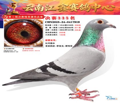 »Ȱ���ξ���335��