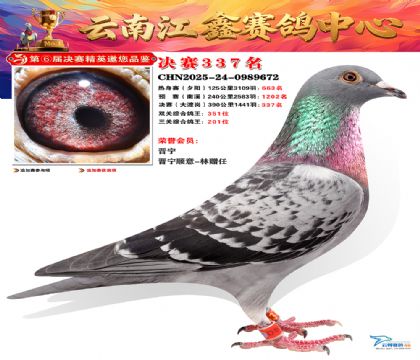 »Ȱ���ξ���337��