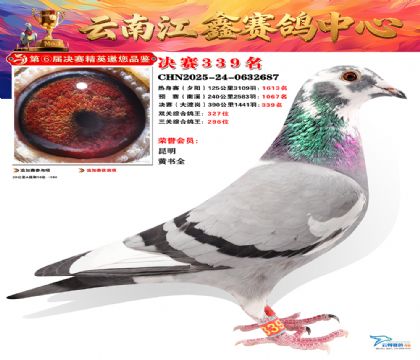 »Ȱ���ξ���339��