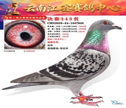 »Ȱ���ξ���343��