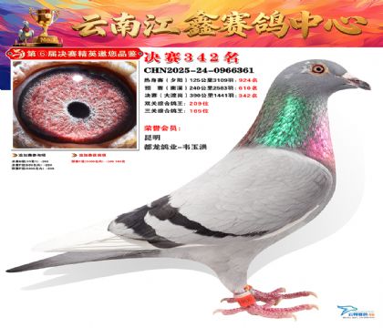 »Ȱ���ξ���342��