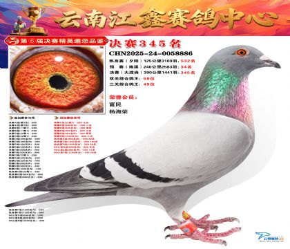 »Ȱ���ξ���345��