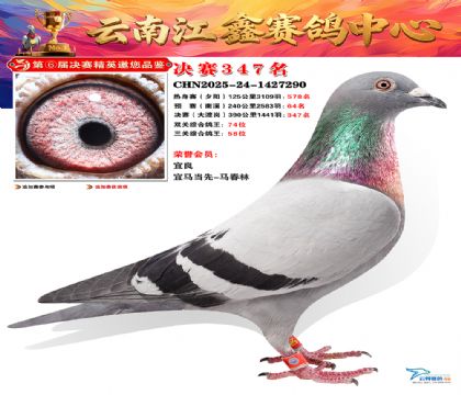 »Ȱ���ξ���347��