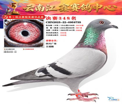 »Ȱ���ξ���348��