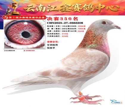 »Ȱ���ξ���350��