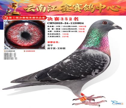 »Ȱ���ξ���352��