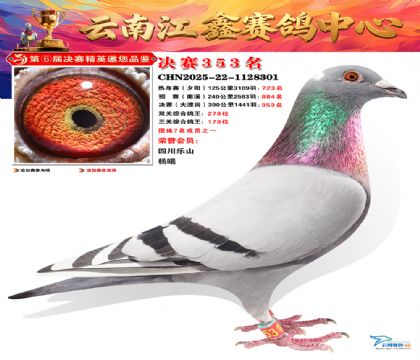 »Ȱ���ξ���353��