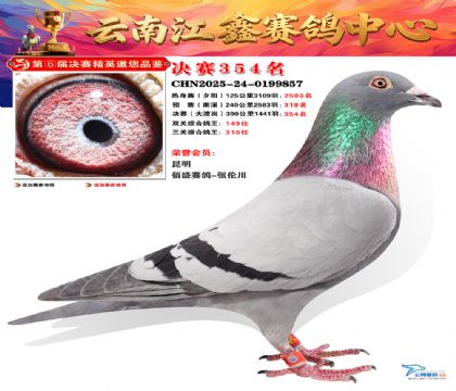 »Ȱ���ξ���354��