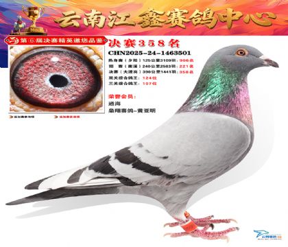 »Ȱ���ξ���358��