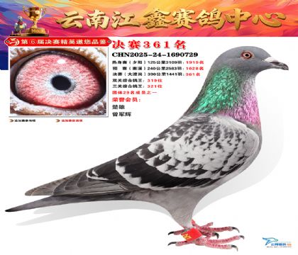 »Ȱ���ξ���361��