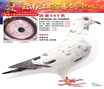 »Ȱ���ξ���365��