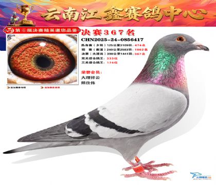 »Ȱ���ξ���367��