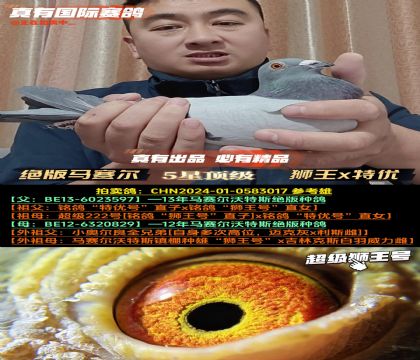 ������������ԭ���Ӵ���ʨ����x���ź�˫����