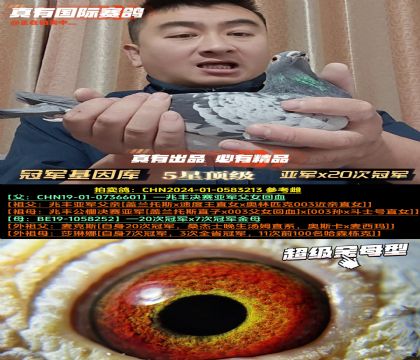 ���ھ�����⡷�Ǿ�x20�ιھ�