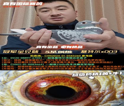 ���ھ�ȫ����-����ԧ���ۡ����ض�x003