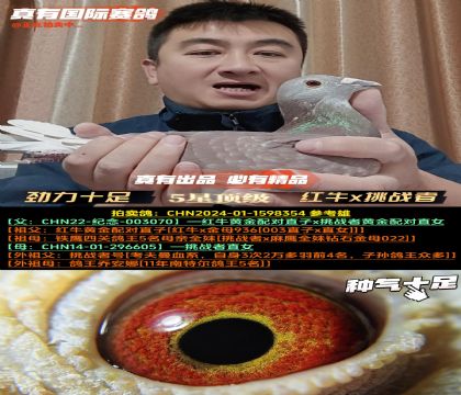 ������ʮ�㡷��ţx��ս�߽���