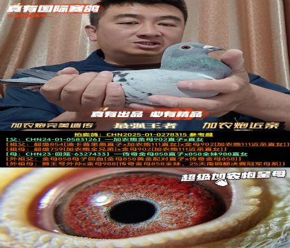 ����ũ�ڳ����Ŵ�����ũ�ڶ�������