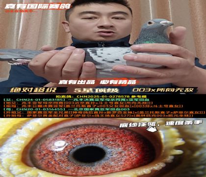 �����Գ���������ƥ��003x�����޵�