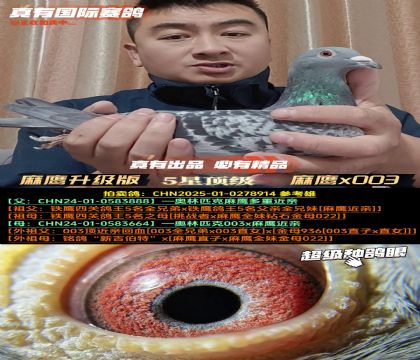 ����Ʈ�����ӥ����ӥx003����