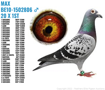 20�ιھ����˹