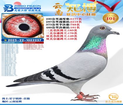 ����֪������101��