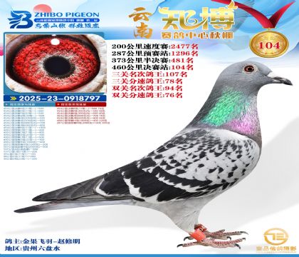 ����֪������104��