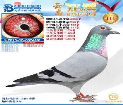 ����֪������111��