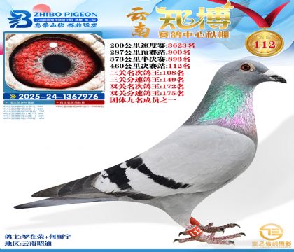 ����֪������112��