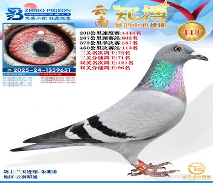 ����֪������113��