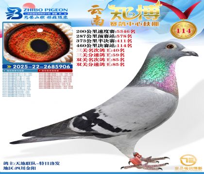 ����֪������114��