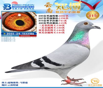 ����֪������115��