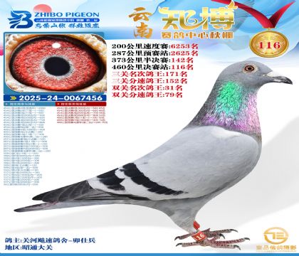 ����֪������116��